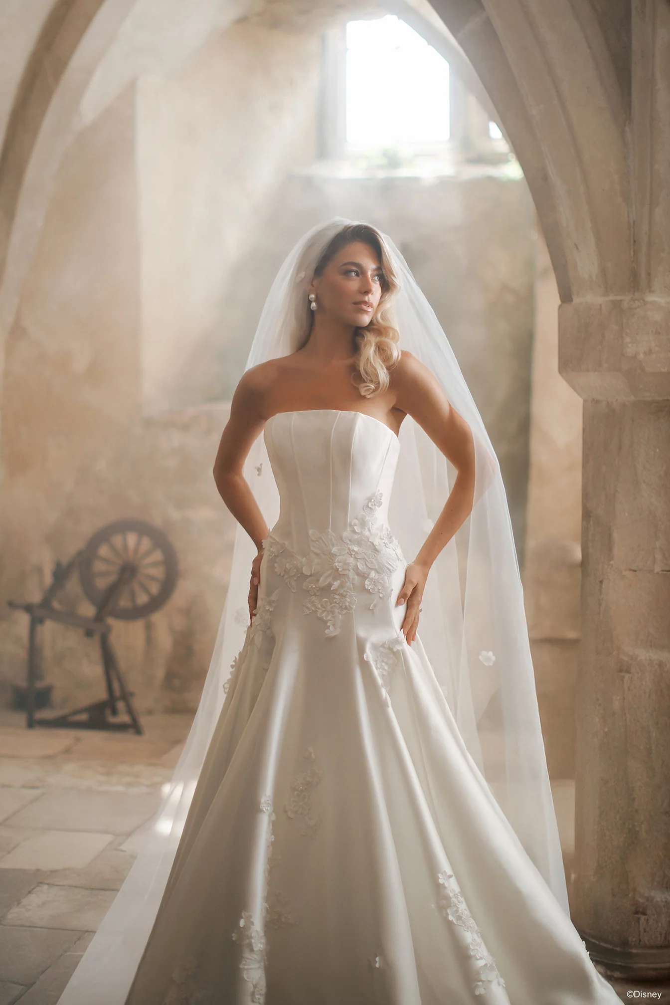 Aurora Veil