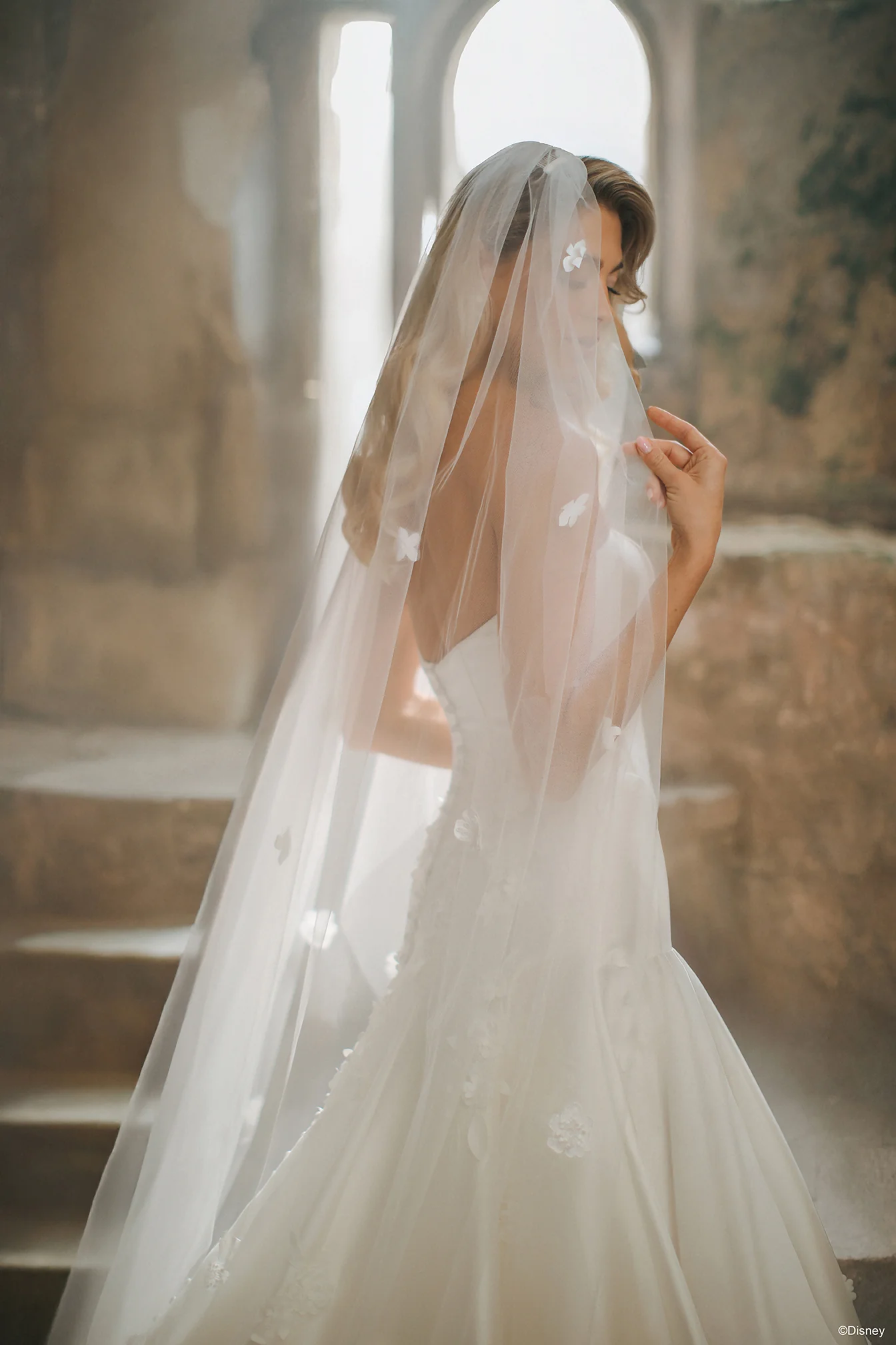 Aurora Veil