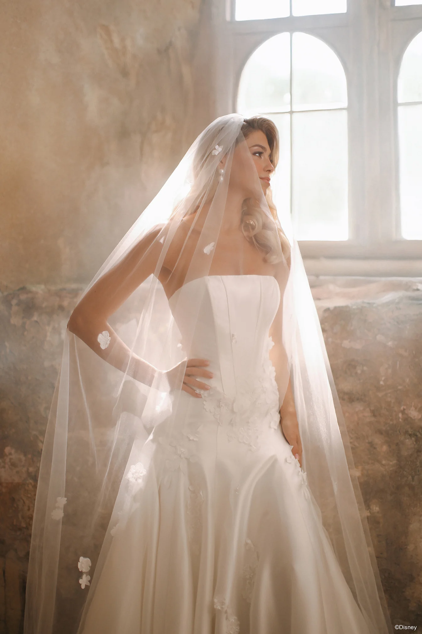 Aurora Veil